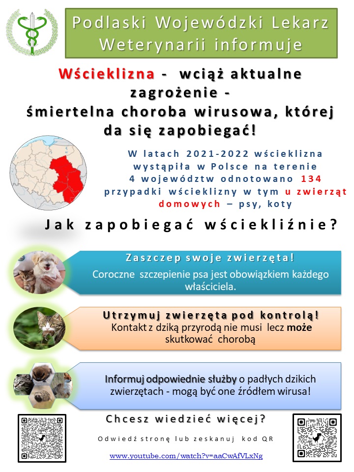 plakat dotyczący wścieklizny.jpg