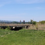 7. Most obok m. Białogrądy.jpg
